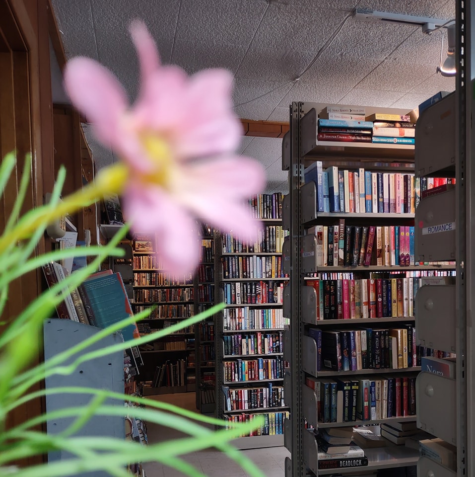 Bookshelves with a flower